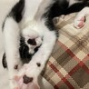 お医者さんに大きくなったねーって言われたね！