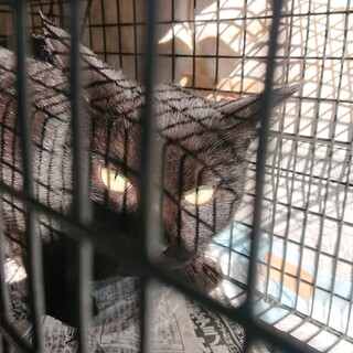 4/4浦和南 人が大大好き❤️四歳