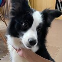トライアル決定につき募集中止致します。