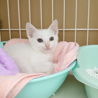 とにかく可愛いです❣️