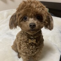 エメ