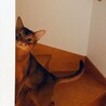 ナッちゃん
