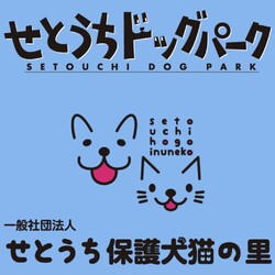 せとうちドッグパーク譲渡会