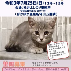 保護猫の譲渡会in守山