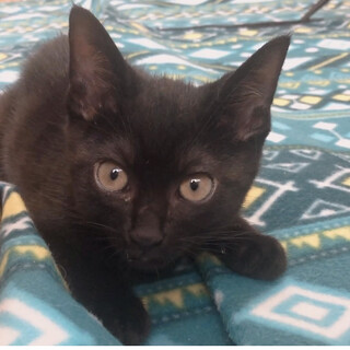 まん丸お目めがキュートな男の子✩.*˚おたま君