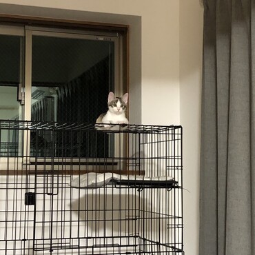 置物よもぎ