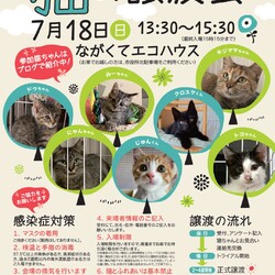 猫の譲渡会 In ながく モフモフねこ譲渡会名古屋のイベント 126 ペットのおうち 月間利用者150万人