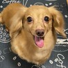 可愛いくてたまらない♪おっとりなごみ系のマハちゃん サムネイル5