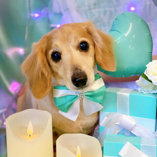 何気ない日々を家族とともに過ごしたいドナさん