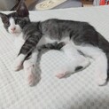 4/23日生まれのもうすぐ生後3ヶ月の男の子。