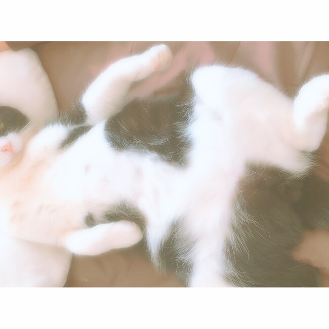 ri10ri8kaのカバー写真