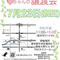 ★猫の未来とびら譲渡会★東銀座徒歩2分東劇隣【11：00より整理券配布】