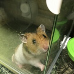 なんだか外に出て一緒に遊びたい様子！かわいい♡