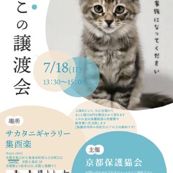 京都　ねこの譲渡会 サムネイル1