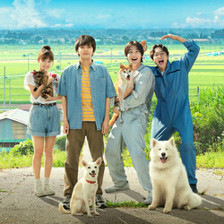 映画『犬部！』コラボ 保護猫オンライン譲渡会