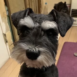 凄く元気な男の子♪