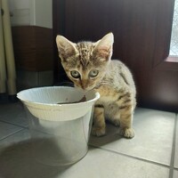 ちあ