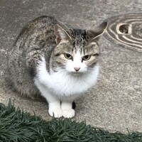 るぅ