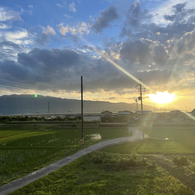 dogsinclairのカバー写真