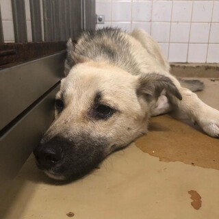 明日まで期限です