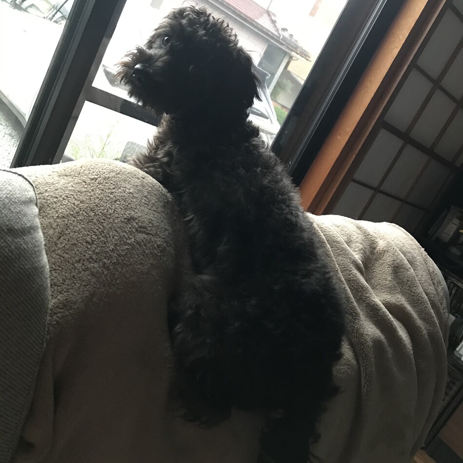 のあのカバー写真