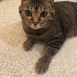 足が悪くても頑張り屋さんで明るいあいちゃん♪