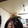 tonko224