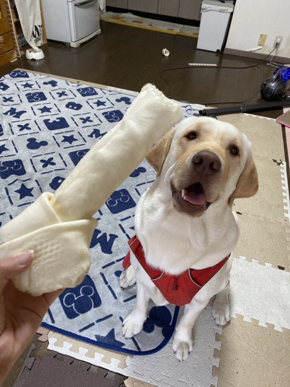 らぶ