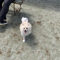 ふぅた