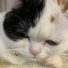 せいじYT