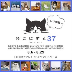 ねこにすと３７　写真パネル展　渋谷マルイ６F サムネイル2