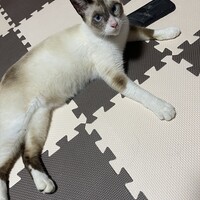 湊