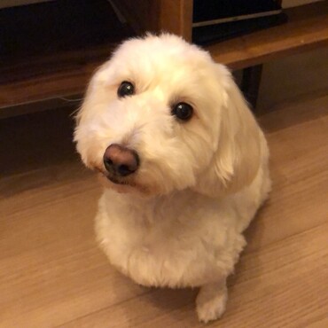 の写真