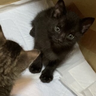 ミルクで育てた甘えん坊☆