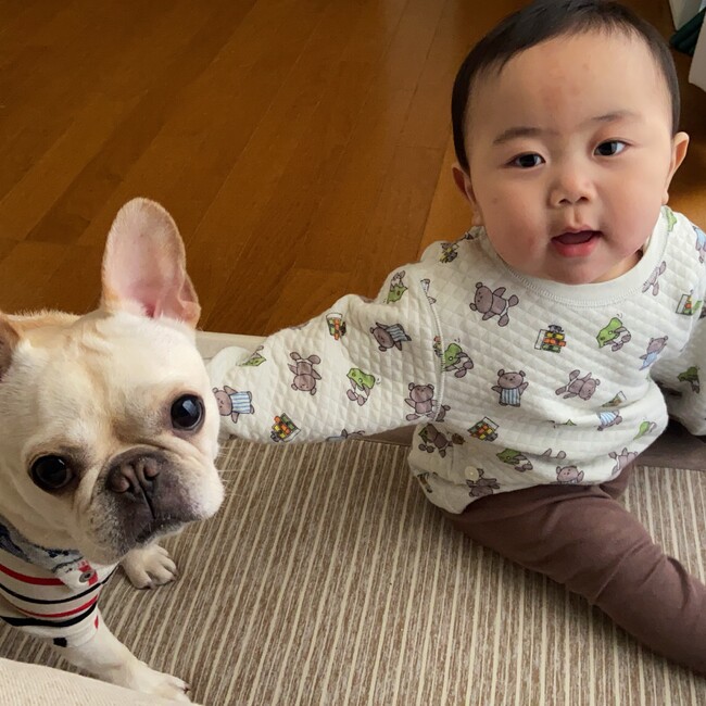 みづき。のカバー写真