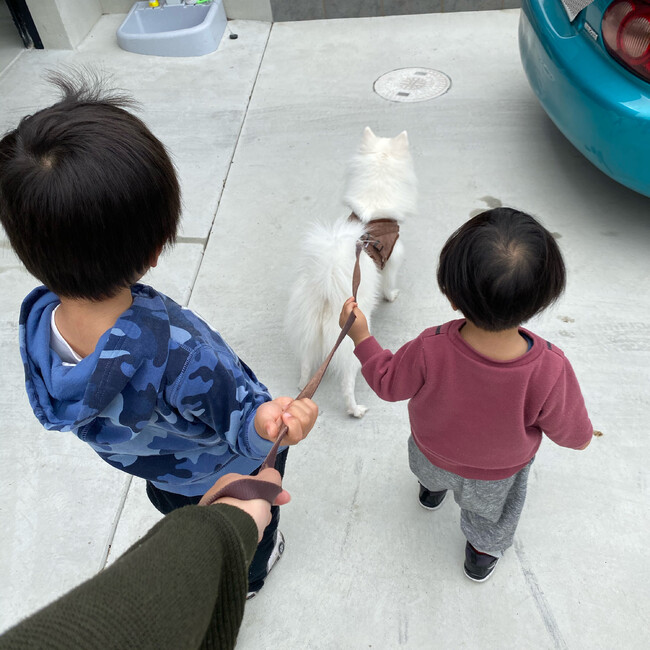 ななてぃすのカバー写真