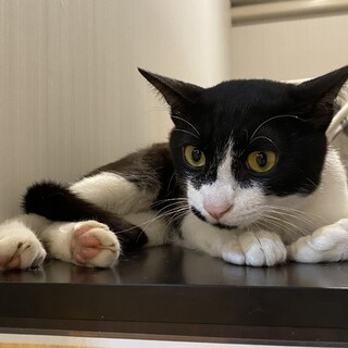 人間大好き！にぎり君