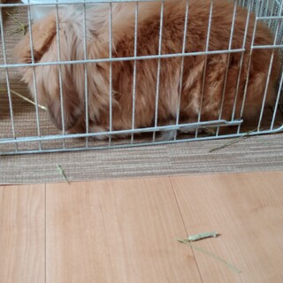 緊急です。お願いします。