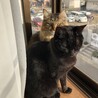 みかん