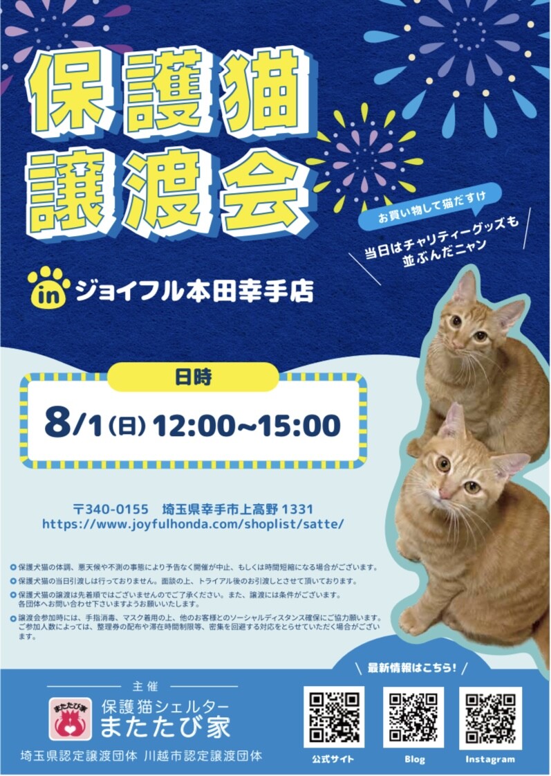保護猫 譲渡会 In またたび家のイベント ペットのおうち 月間利用者150万人