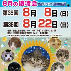猫の譲渡会　in　名古屋市瑞穂生涯学習センター