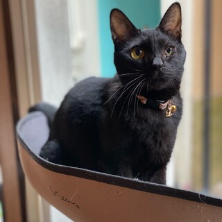 穏やか甘えん坊の冷（レイ）君