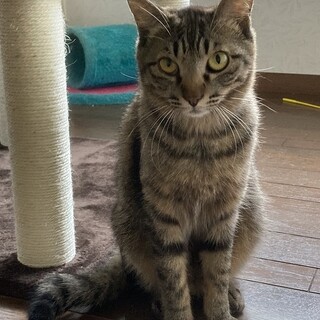 本当は甘えん坊♪可愛いコタローくん★エイズ陽性です