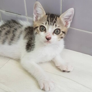 ありがとうございました