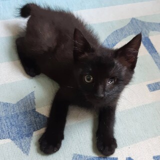 ありがとうございました