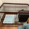 サークル