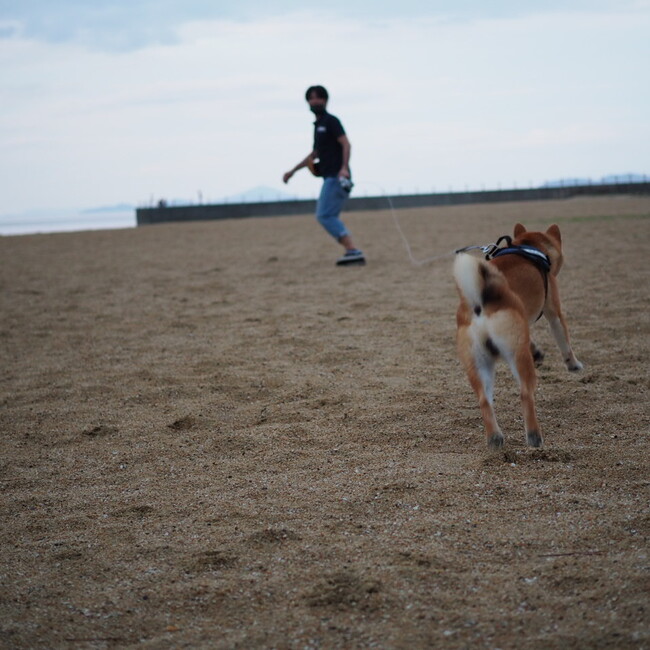 麦作のママのカバー写真