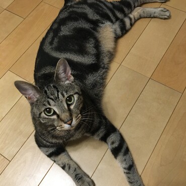 かいちゃんです♡