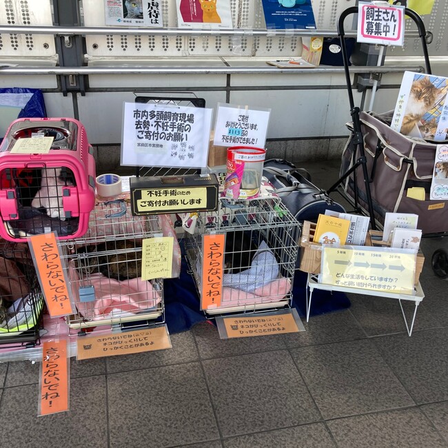 チーム犬猫＠かわさきのカバー写真