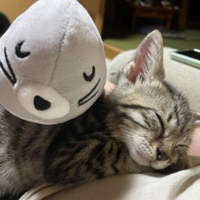 ミロ